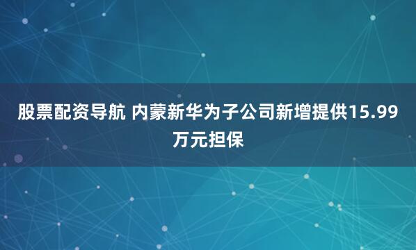 股票配资导航 内蒙新华为子公司新增提供15.99万元担保