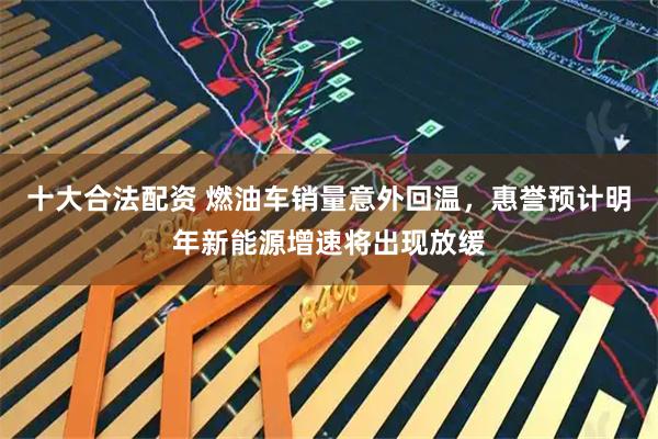 十大合法配资 燃油车销量意外回温，惠誉预计明年新能源增速将出现放缓